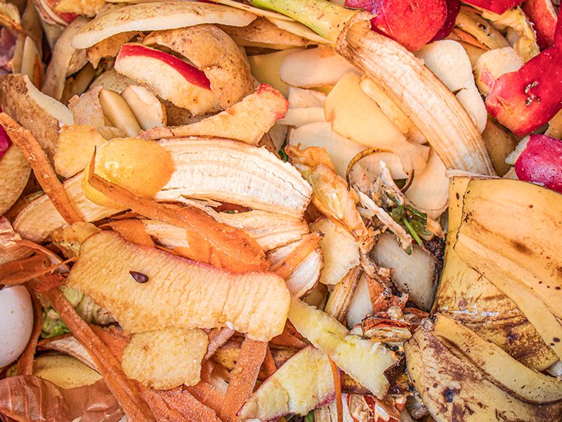 A colorful pile of fruit and vegetable scraps ready for composting.